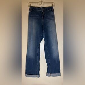 Torrid Blue Women Jeans Size 20